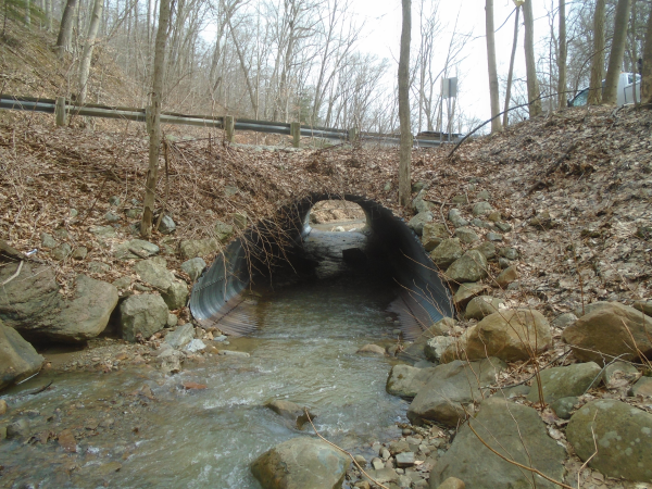 Image of Revere Road over Branch of Yellow Creek 1