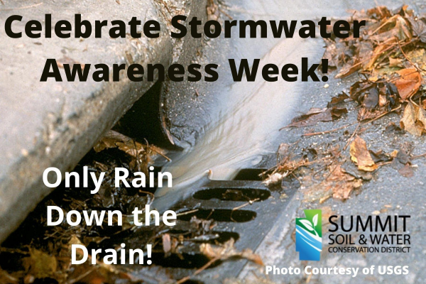 2021 Stormwater Awareness Week Only Rain Down the Drain