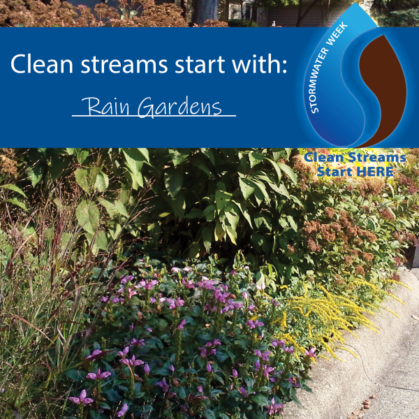 2021 Stormwater Awareness Week Rain Gardens