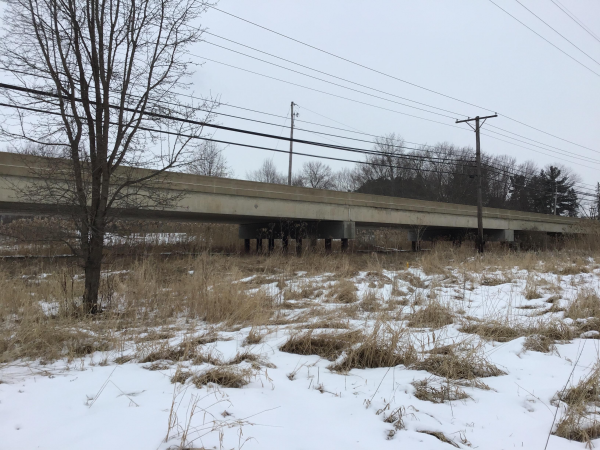 Image of Steels Corners Bridge 2021 Photo