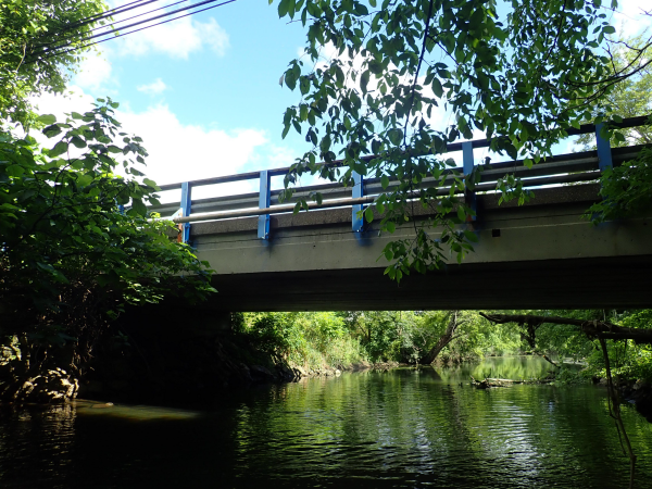 Snyder Avenue Bridge