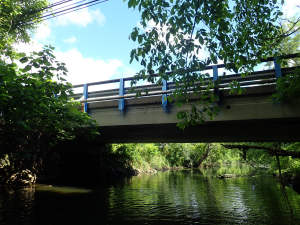 Project Image for Snyder Avenue Bridge Replacement