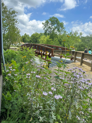 Project Image for Cuyahoga Valley National Park Pedestrian/Trail Bridge