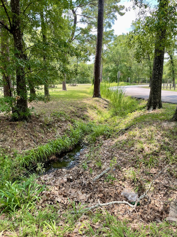 Roadside Ditches