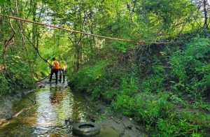 Project Image for SWMD: Copley Ditch (County Ditch #38)