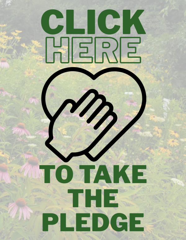 Click here to take the pledge