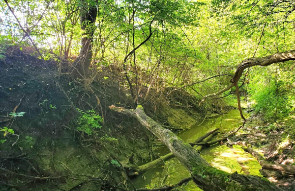 Image of Copley Ditch View title=