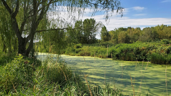Image of Copley Ditch Water View Image of Copley Ditch Water View